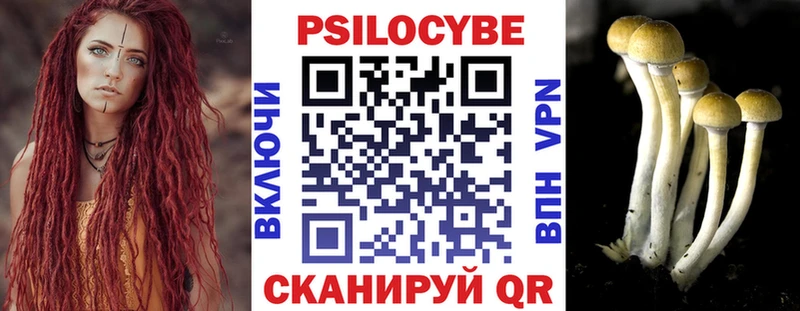 купить  сайты  Гусь-Хрустальный  Псилоцибиновые грибы мухоморы 
